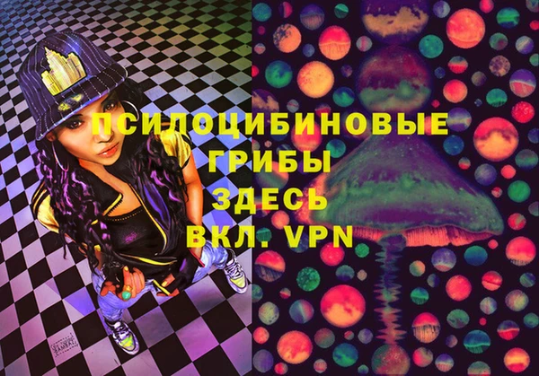крисы Алексин