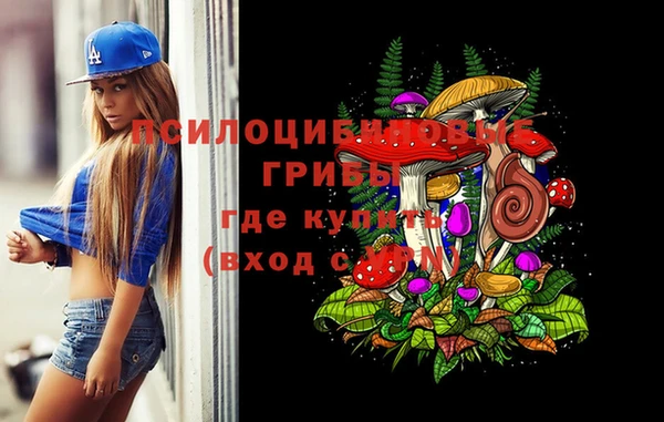 a pvp Абинск