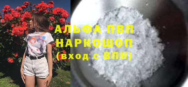 крисы Алексин