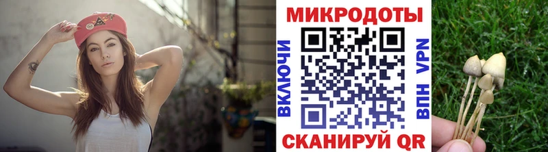 Галлюциногенные грибы Magic Shrooms  площадка как зайти  Ессентукская 
